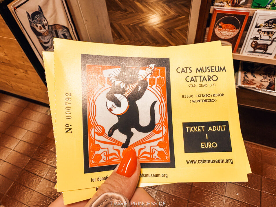 Cats Museum Katzenmuseum Katzenpark Kotor Montenegro Reiseblog Travelprincess Reisetipps Urlaub Reisebericht Reiseführer