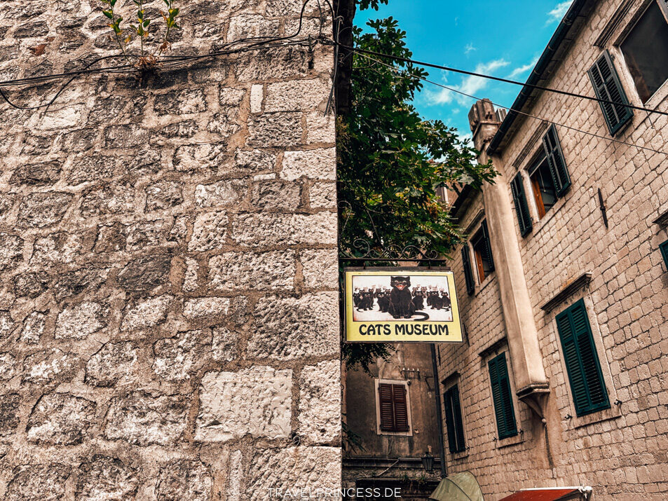 Cats Museum Katzenmuseum Katzenpark Kotor Montenegro Reiseblog Travelprincess Reisetipps Urlaub Reisebericht Reiseführer