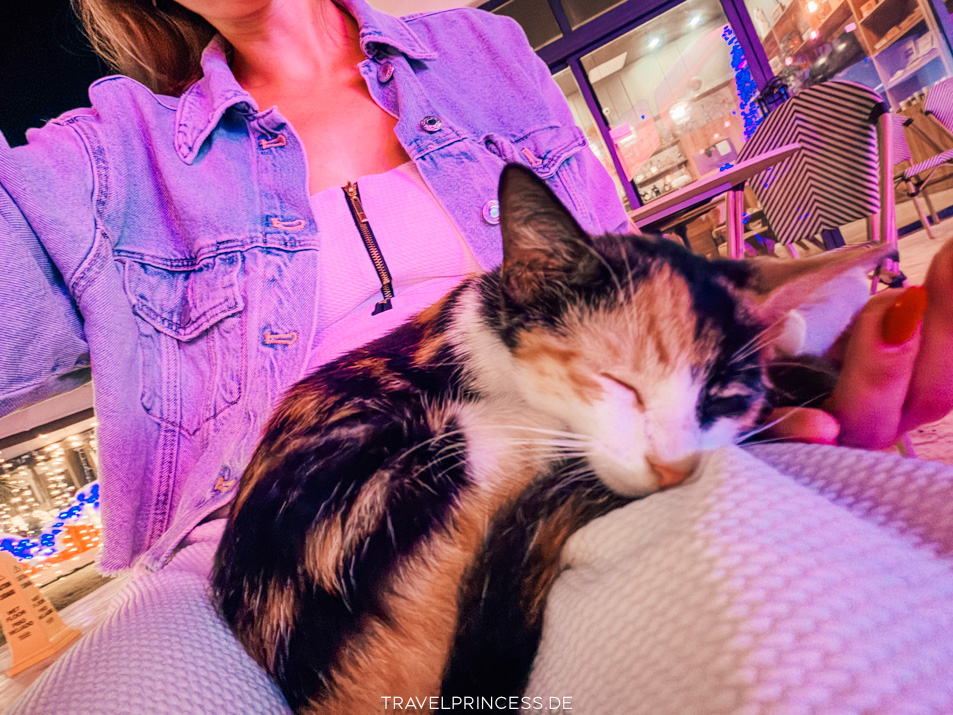 Viva Hotel Dominikanische Republik Travelprincess Reiseblog Erfahrungen Bewertungen Urlaub Karibik Reiseführer Reisebericht