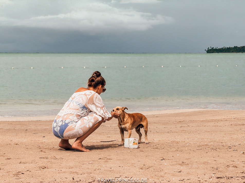 Strand Playa Esmeralda Dom Rep Dominikanische Republik Hunde Erfahrungen Hotels Geheimtipp Reiseblog Travelprincess
