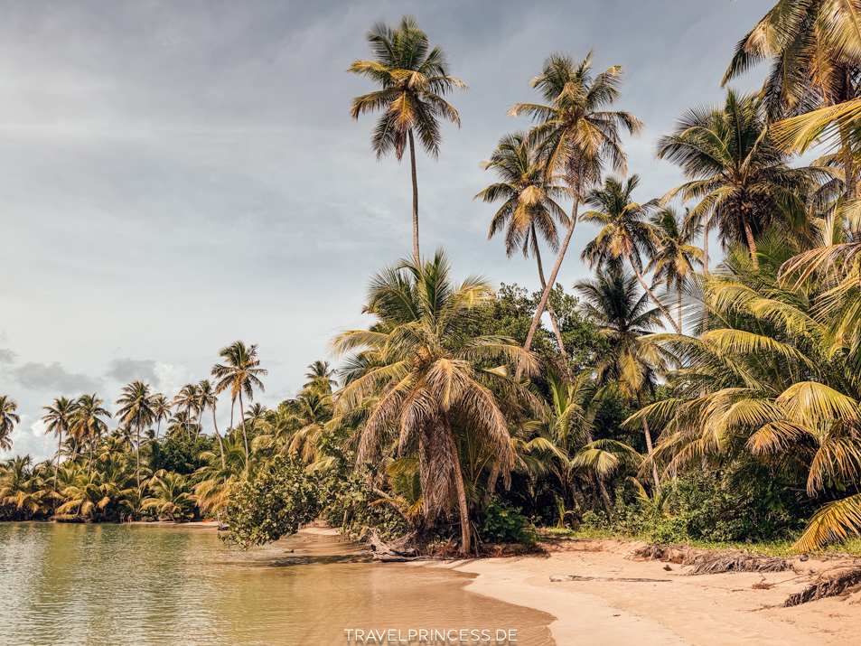Playa Esmeralda Dominikanische Republik Bilder Meer Strand Karibik Wasser trüb klar Erfahrungen Sand Reiseblog Travelprincess