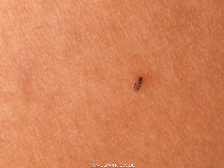 Sanfliegen Viva Miches by Wyndham Reiseblog Travelprincess Hotel Erfahrungen Reisebericht Reisetipps Dominikanische Republik