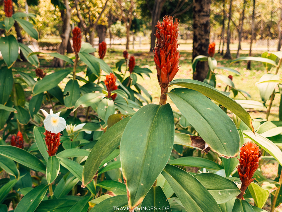 3 Tages Guide Bangkok 3 Tage Tipps Reiseblog Travelprincess Thailand Reisebericht Urlaub Deutschland Reiseblogger