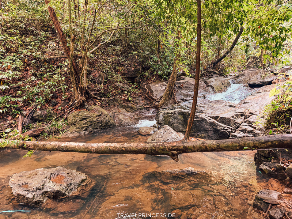 Kai Bae Waterfall Erfahrungen Weg Insekten Spinnen Reiseblog Travelprincess Wasserfall Wandern Koh Chang Thailand