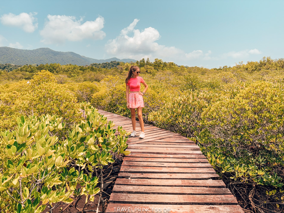 Salak Phet Mangrove Forest Mangrovenwald Erfahrungen Eintritt Parkgebühren Anfahrt Reiseblog Travelprincess Highlights Empfehlungen Thailand