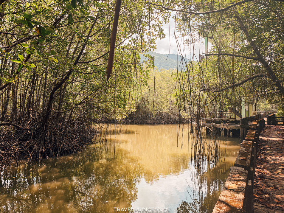 Sala Khok Mangrove Forest Koh Chang Sehenswürdigkeiten Boot Infos Reiseblog Travelprincess Erfahrungen Highlights
