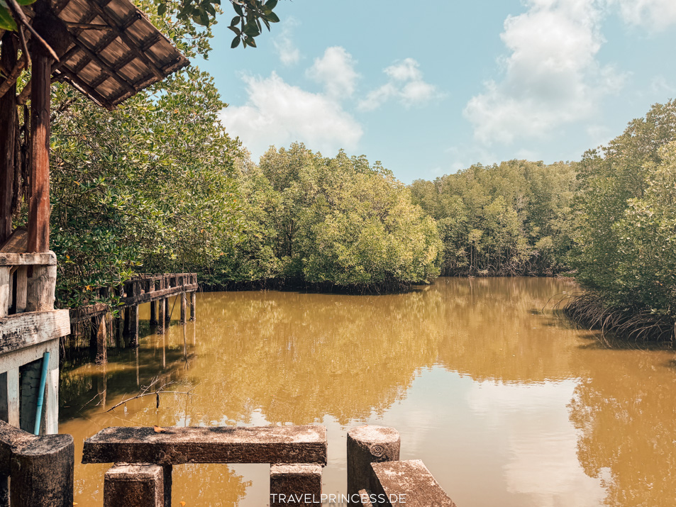 Sala Khok Mangrove Forest Koh Chang Sehenswürdigkeiten Boot Infos Reiseblog Travelprincess Erfahrungen Highlights