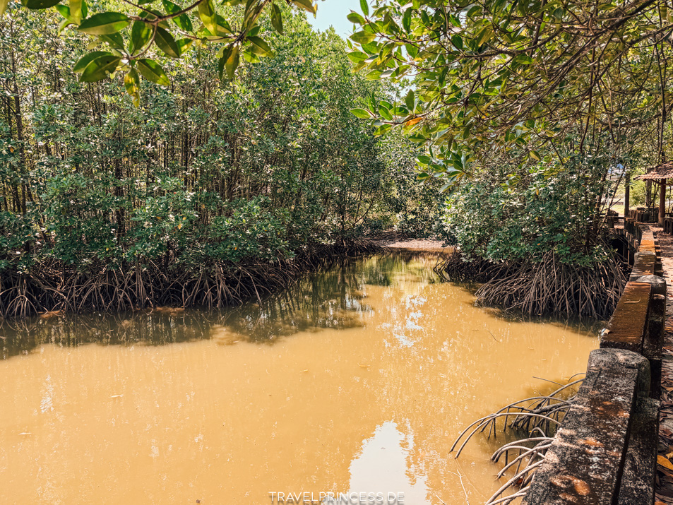 Sala Khok Mangrove Forest Koh Chang Sehenswürdigkeiten Boot Infos Reiseblog Travelprincess Erfahrungen Highlights
