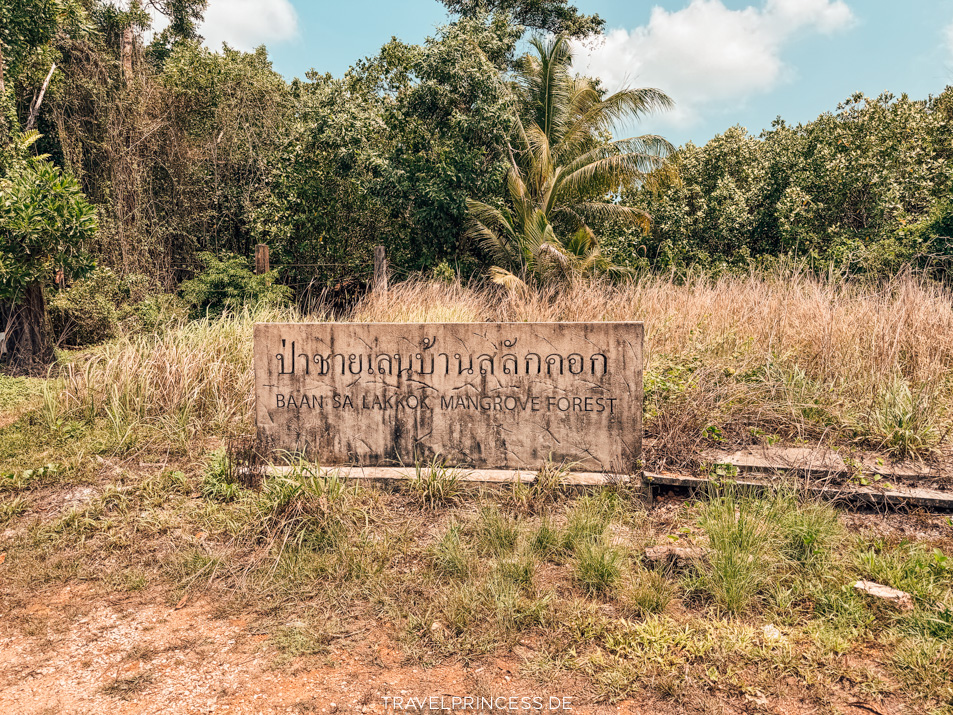 Sala Khok Mangrove Forest Koh Chang Sehenswürdigkeiten Boot Infos Reiseblog Travelprincess Erfahrungen Highlights