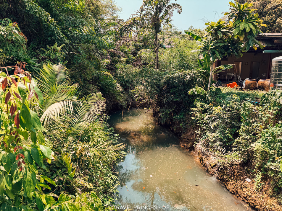 Koh Chang Reisetipps - Ist die Insel schön? Tipps Sehenswürdigkeiten Strände Hotels Thailand Travelprincess Reiseblog Reisebericht Reiseführer Erfahrungen Roller fahren