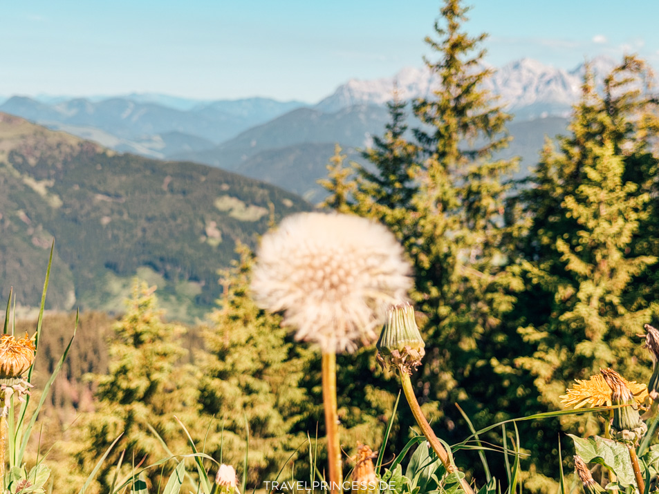 Großer Asitz Österreich Bergbahn Wanderung Gipfel Travelprincess Reiseblog Tipps Preise