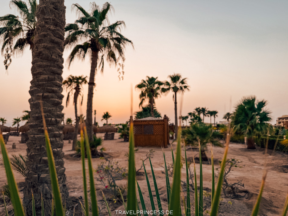 Sheraton Soma Bay Resort Renovierung Erfahrungen Rezensionen Tipps Bewertung Soma Bay Ägypten schönster Strand zum Baden und schnorcheln Reisebericht Reiseblog Travelprincess