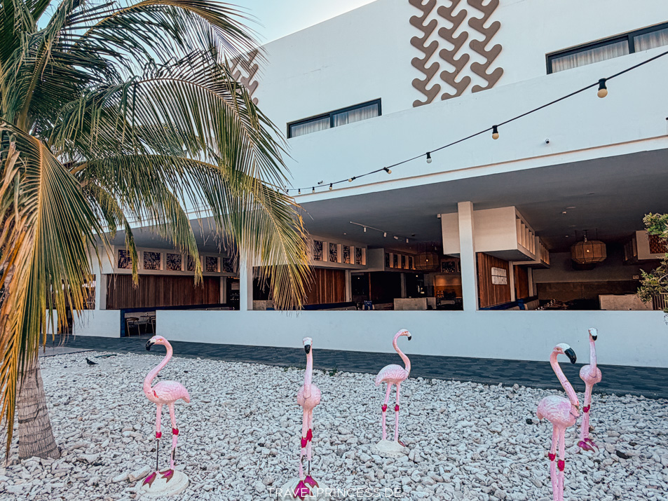Erfahrungen The Rif Mangrove Beach Corendon Curaçao Bewertungen Reiseblog Travelprincess