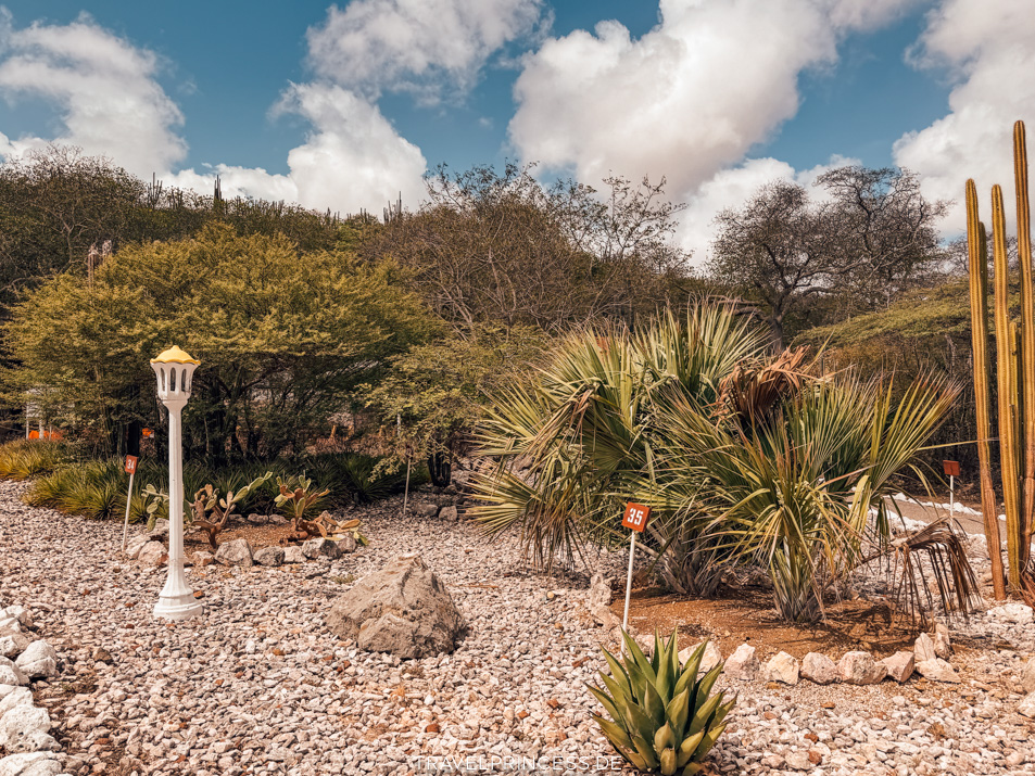 Hato Caves Curaçao Reisetipps Travelprincess Reiseblog Urlaub Sehenswürdigkeiten Eintritt Preis Highlights Reiseführer Reisebericht