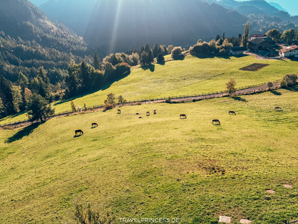 Suiten Sauna Wellness My Daum Südtirol Aparthotel Erfahrungen Reisebericht Bewertungen Reiseblog Italien Travelprincess Wanderungen Reiseführer